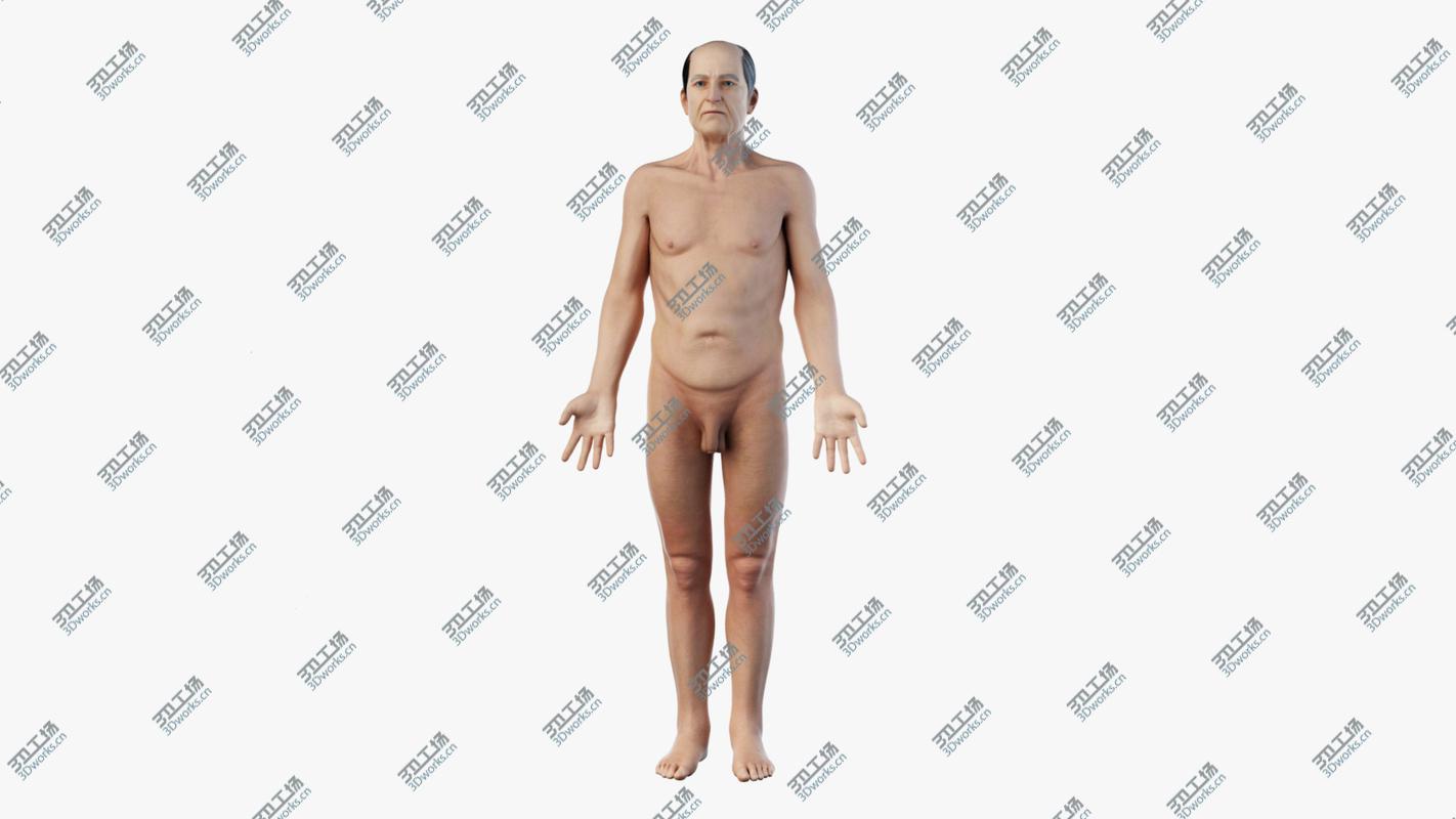 images/goods_img/2021040231/Elder Male Skin, Skeleton And Muscles Rigged model/4.jpg